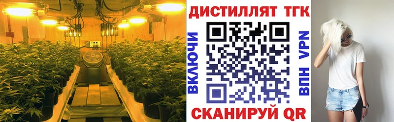 где можно купить   Петушки  ТГК THC oil 