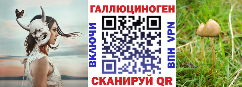 Галлюциногенные грибы мухоморы  кракен tor  Петушки 